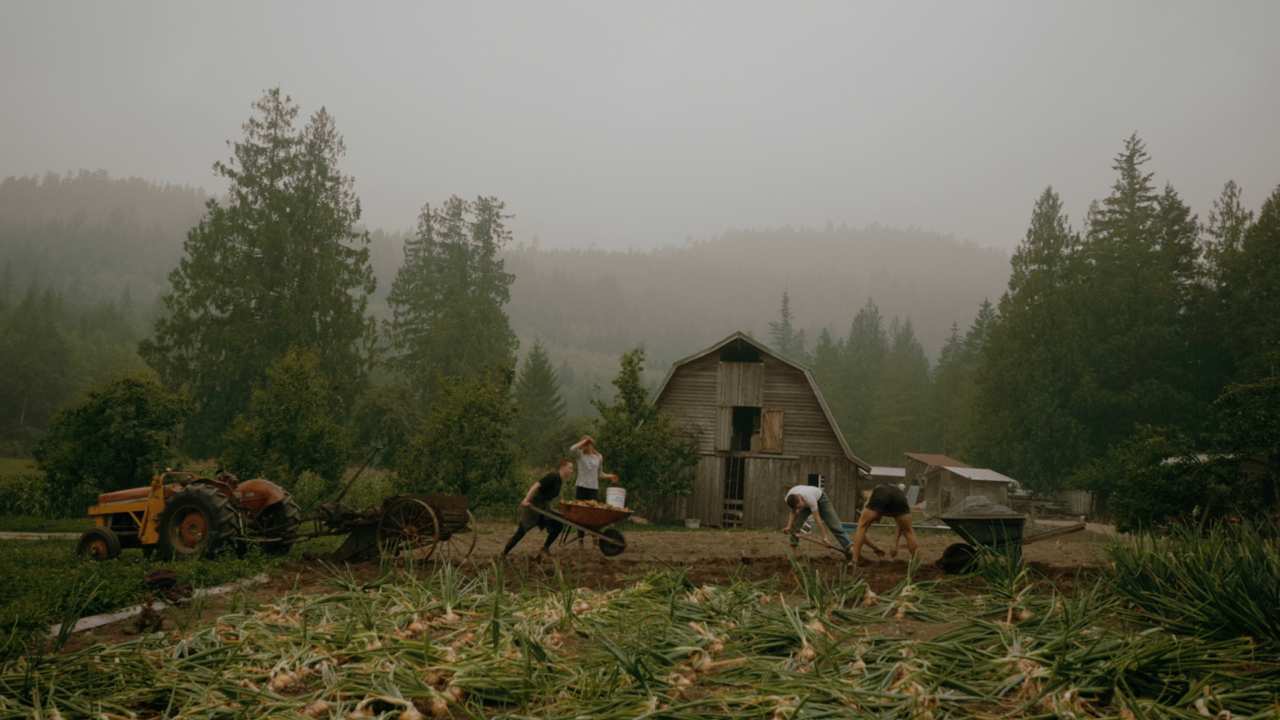 people tending to a field on a farm